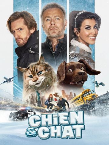 La Pat' Patrouille 2 au cinéma : les chiens Avengers embarquent pour une  grande aventure familiale - Actus Ciné - AlloCiné